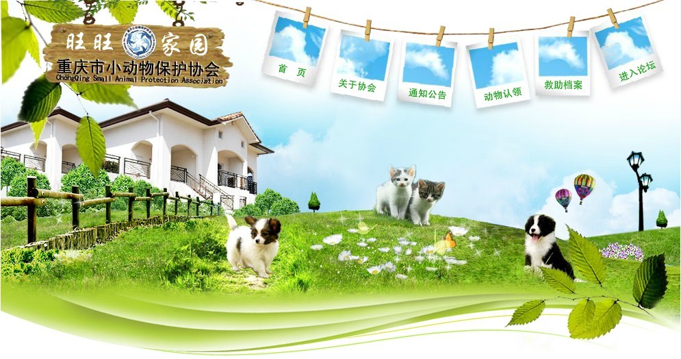 重慶小動(dòng)物保護(hù)協(xié)會(huì) 重慶小動(dòng)物保護(hù)協(xié)會(huì)